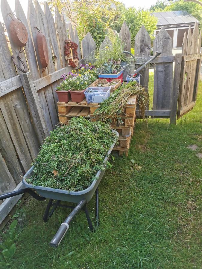 Gartenwohnung Paulsdorf Dippoldiswalde Kültér fotó